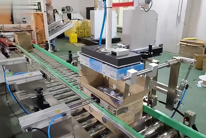 Fully Automatic Case Packing System With Palletizer Machine